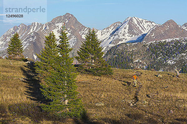 Ein Mann wandert mit seinem Hund über den Molas Pass im San Juan National Forest  Durango  Colorado