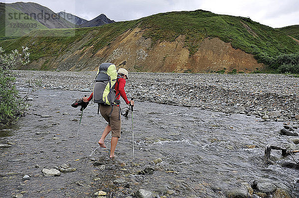 Eine Wanderin überquert den Gorge Creek in der Nähe des Eielson Visitor Center im Denali National Park & Preserve  Alaska  Juli 2011. Ein Großteil der Rucksacktouren im Park verläuft ohne Wege und zwingt die Wanderer  Bachbetten und Flusstäler zu bevorzugen.