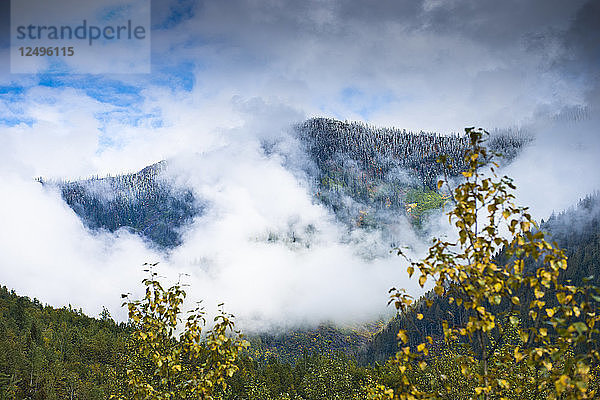 Schnee bedeckt den Gipfel eines Berges in Revelstoke  British Columbia.