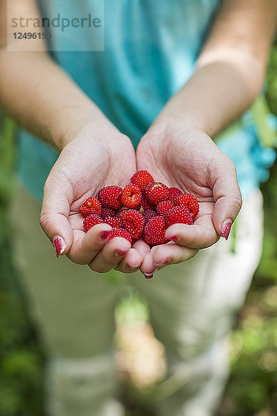Nahaufnahme von Frau Hand hält Handful of Freshly Picked Wild Berries