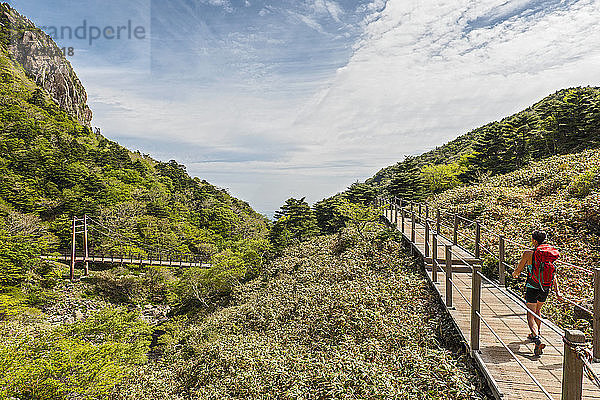 auf dem Gwaneumsa-Wanderweg nach Hallasan auf der Insel Jeju