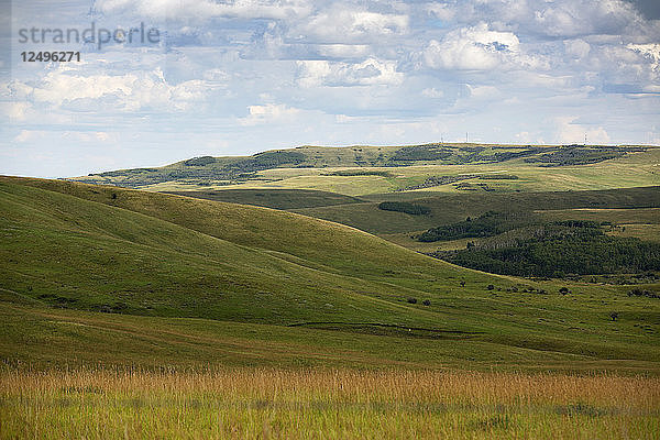 Sommerwolken türmen sich über dem Grasland der kanadischen Prärien in Alberta