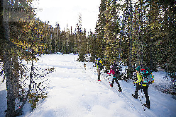Drei Rucksacktouristen wandern über Schnee in der Coast Mountain Range auf dem Weg zum Joffre Peak in British Columbia  Kanada.