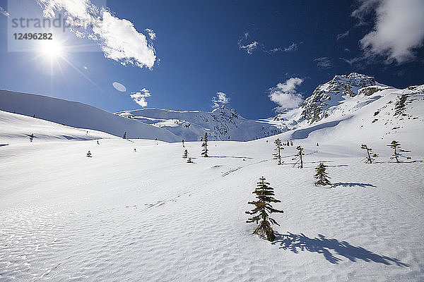 Winterlandschaft unterhalb von Joffre Peak und Mount Matier in der Nähe von Pemberton  British Columbia  Kanada.