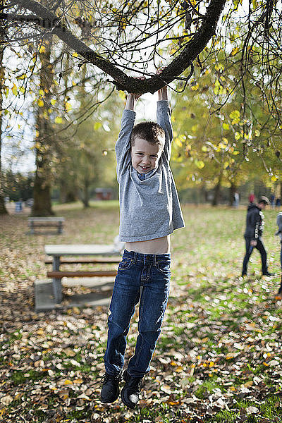 Ein junger Junge schwingt auf einem Baumzweig im Park