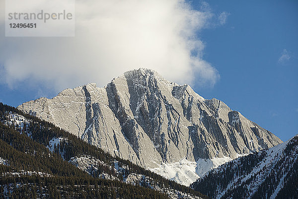 Blick auf den Mount Colin  Jasper National Park