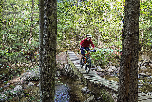 Mann Mountainbiking auf einer langen schmalen Brücke von einem großen Kieferbaum