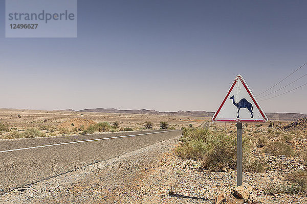 Kamelkreuzungsschild an einer asphaltierten Straße in Marokko  Nordafrika