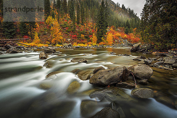 Herbstfarben erhellen das fließende Wasser des Icicle Creek