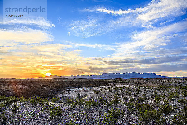 Chisos Mountains und Wüstenlandschaft bei Sonnenuntergang im Big Bend National Park  Texas  Vereinigte Staaten