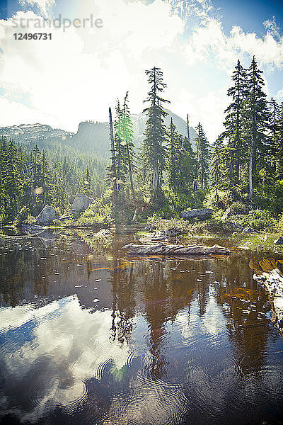 Einer der Vicar Lakes unterhalb des Mount Bishop im Seymour Valley  British Columbia  Kanada.