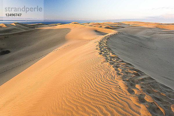 Maspalomas Sanddünen bei Sonnenaufgang mit dem Meer im Hintergrund