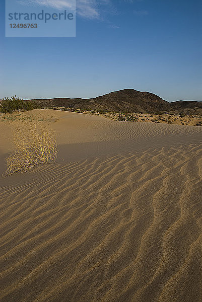 Sanddünen an den Ufern des Lake Mead  Nevada.