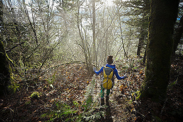 Eine junge  aktive Frau wandert durch einen dichten  nebligen Wald.