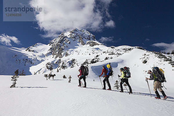 Vier Bergsteiger folgen einem Hund auf dem Weg zum Gipfel des Joffre Peak  British Columbia  Kanada.