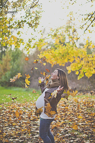 Outdoor-Porträt einer schönen jungen schwangeren Frau  die Herbstblätter in die Luft wirft