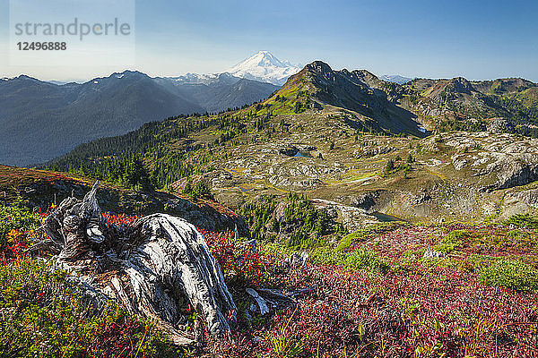 Herbststimmung in Tomyhoi Meadows im North Cascade National Park. Keep Kool Butte und Mount Baker dominieren den Horizont.