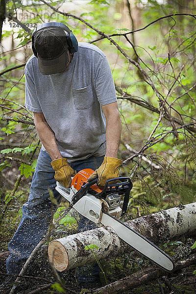 Ein Mann mittleren Alters benutzt bei der Gartenarbeit eine Kettensäge  um einen Baumstamm zu fällen.
