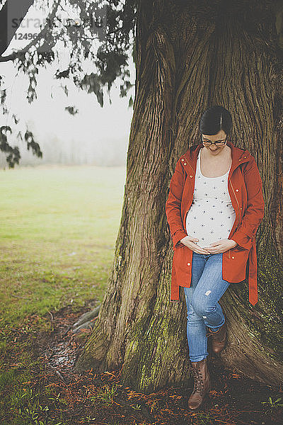 Porträt einer schwangeren Frau  die ihren Bauch hält und sich an einen großen Baum lehnt.