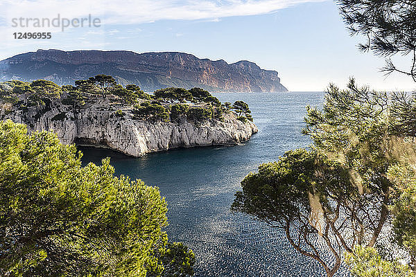 Panoramablick auf Calanque und das Mittelmeer  umrahmt von Pinienbäumen