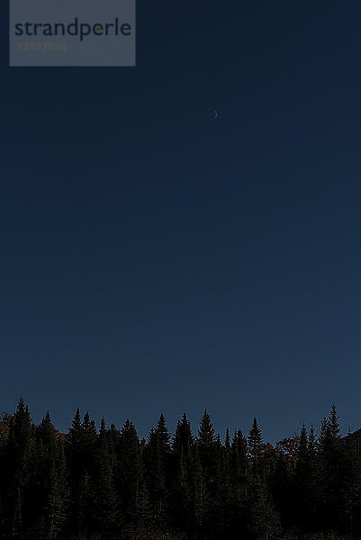 Silhouette von Fichten und Mondaufgang in den Weißen Bergen von New Hampshire