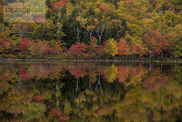 Herbstlaub  das sich in einem Teich in New Hampshire spiegelt