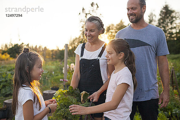 Familie lächelt bei der Ernte von Gemüse aus ihrem Garten in Fort Langley