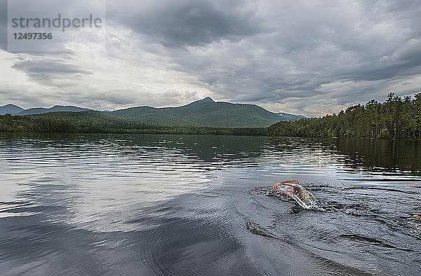 Schwimmer Schwimmen im See Chocorua in New Hampshire