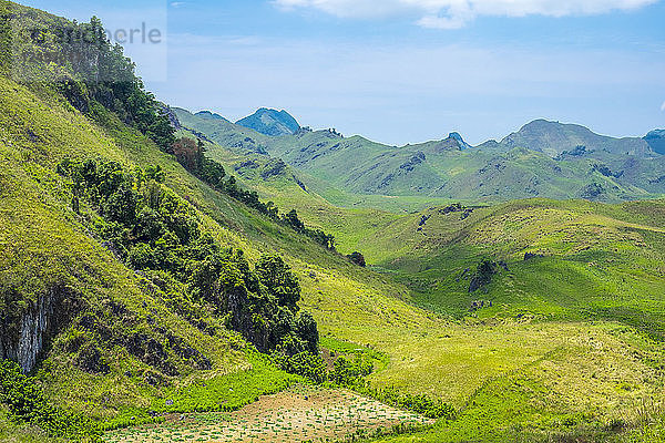 Üppig grüne ländliche Landschaft  Provinz Vientiane  Laos