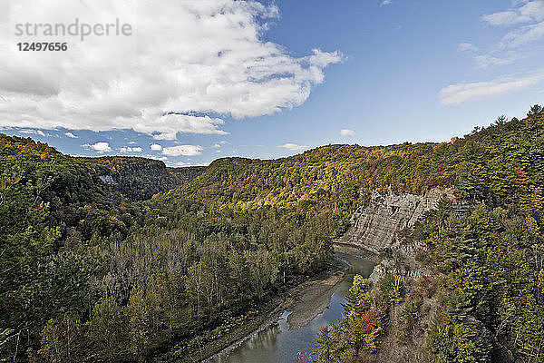 Überblick über die Genesee River Gorge im Letchworth State Park in Castile NY.