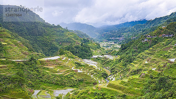 Banaue-Reisterrassen im zeitigen Frühjahr  Bergprovinz  Verwaltungsregion Kordilleren  Philippinen