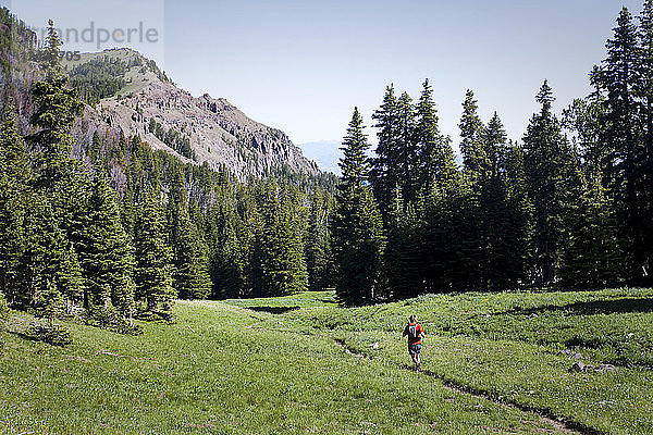 Mann beim Trailrunning auf dem Mount Blackmore Trail im Hyalite Canyon in Bozeman  Montana.