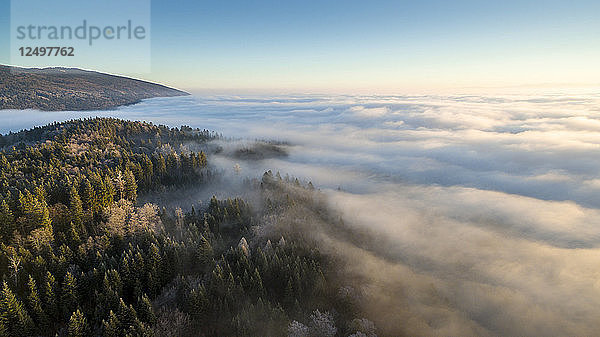 schöner Sonnenaufgang über einem Nebelmeer und den mit Fichtenwäldern bedeckten Bergen im Kanton Waadt  Schweiz