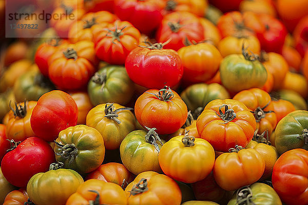 Frische bunte Tomaten zu verkaufen  Bologna  Italien