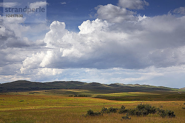 Sommerwolken türmen sich über dem Grasland der kanadischen Prärien in Alberta