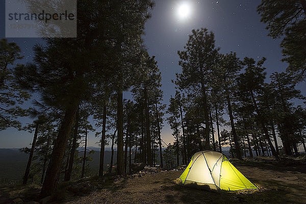 Camping im Wald bei Nacht