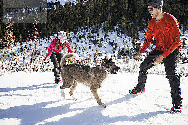 Ein aktives junges Paar versucht  seinen Hund beim Wandern in British Columbia  Kanada  zu fangen.