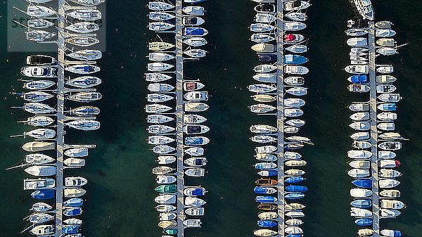 Luftaufnahme des Hafens von Nyon mit vier parallelen Stegen  an denen eine Reihe von Freizeitbooten angedockt sind