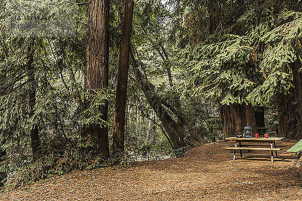 Campingplatz bei Big Sur  Kalifornien