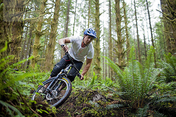 Ein Mountainbiker fährt mit hoher Geschwindigkeit durch eine scharfe Kurve auf einem Weg  der sich durch üppige Wälder in der Nähe von Vancouver  Kanada  windet.