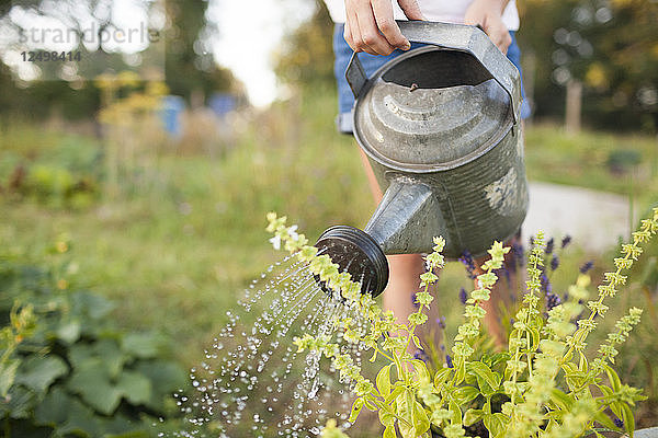 Ein junges Mädchen bewässert ihren Garten in Fort Langley