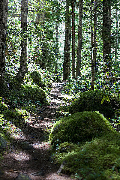 Umpqua River Trail.