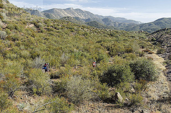Zwei junge Frauen beim Wandern im Los Padres National Forest außerhalb von Filmore  Kalifornien