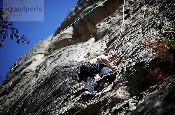 Ein männlicher Kletterer erklimmt an einem warmen Herbsttag eine Kalksteinwand in der Red River Gorge  KY