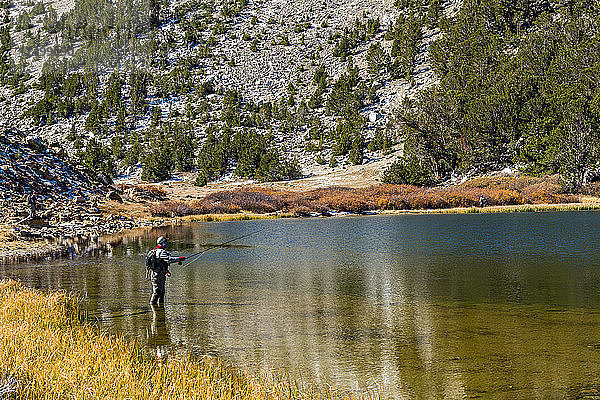 Greg auf der Pirsch nach Lahontan Cutthroats an einem geheimen See in der östlichen Sierra