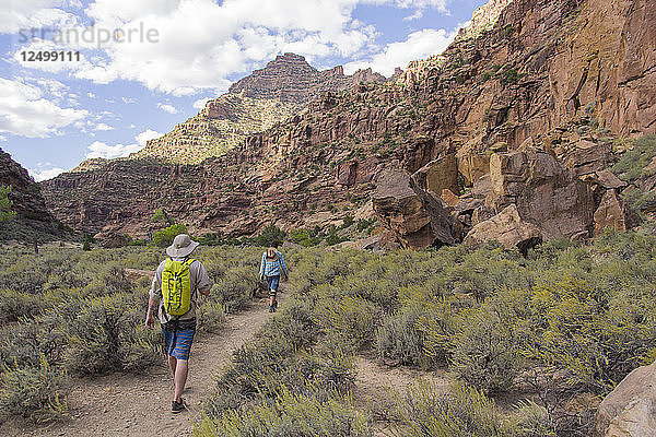 Wanderung durch den Desolation Canyon entlang des Green River  Utah.
