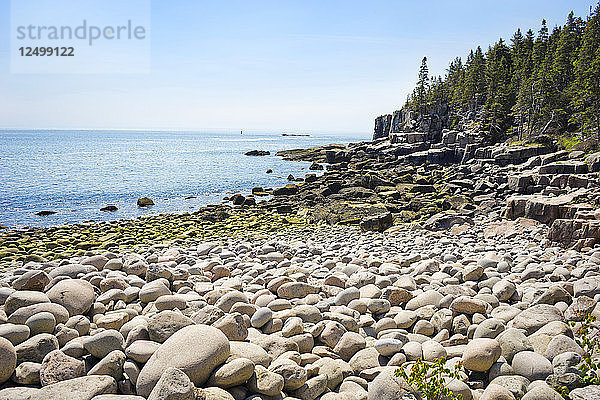 Der felsige Strand von Monument Cove mit Otter Cliff im Hintergrund  Acadia National Park  Maine