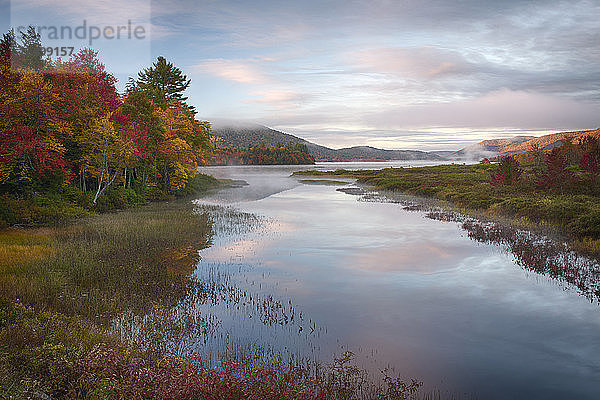 Herbstfarbe entlang des Lewey Lake Outlet  Adirondack Mountains  New York  USA