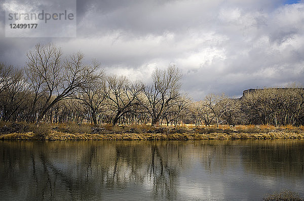 Landschaften und Details entlang des San Juan River unterhalb des Navajo-Damms im kürzlich restaurierten 80-Morgen-Hammond-Trakt  der bei Anglern sehr beliebt ist.