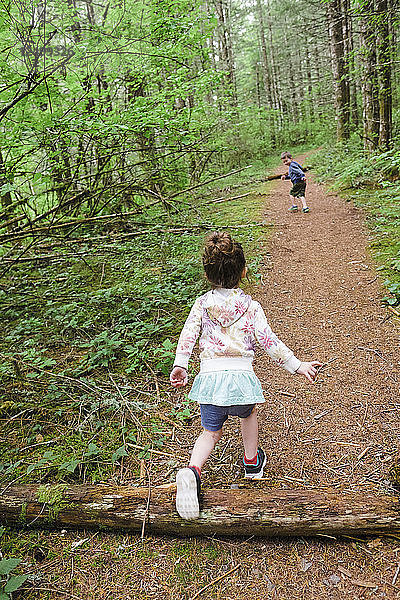 Bruder und Schwester Trail Running durch Oregon Wald